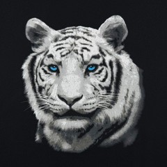 White Tiger Animal Nature Wildlife Graphic Black Cotton T-Shirt XL
