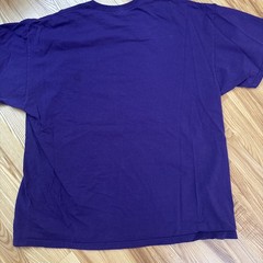 Mardi Gras Purple T Shirt XXL 100% Cotton New Orleans Louisiana Parade Krewe
