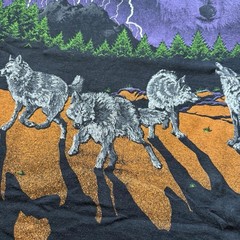 Vintage 90s Wolf T Shirt Mens L Single Stitch Made In USA Fruit Of Loom