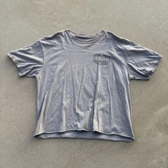 grey cropped annapolis maryland graphic tee Ships same day/next unisex graphic