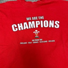 Fruit of the Loom Wales Screen Stars WRU Champions Six Nations T-Shirt Mens XXL