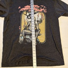 Dryad Multicolor on Heather Black Triblend Unisex Large