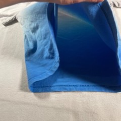 Hollister Shirt Mens Small Blue Surf Skate California Beach Sun Outdoor Ocean