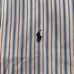 Ralph Lauren BLAKE Striped Long Sleeve Shirt for Men Medium