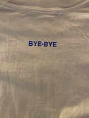 Bye-Bye 1996 Vintage Nature St. Maarten N.A. Iguana Graphic Light Pink T-shirt L