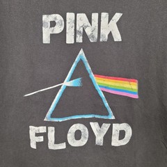 Pink Floyd Shirt Mens XL Gray Dark Side Of The Moon Graphic Cotton On Tee