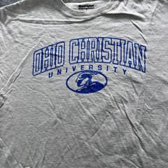 Champion Shirt Mens L Gray Ohio Christian University Graphic Tee Crewneck