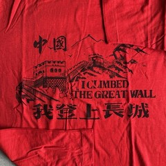 Vintage The Great Wall of China T-shirt size Large