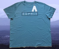 Esprit Mens T-Shirt 3XL, 4XL, 5XL Turquoise, Dove Blue, Cotton, Cotton