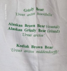 2XL Animal Lover Bear Grizzly Brown Kodiak Preshrunk Cotton Vtg 2003 Lawless NOS