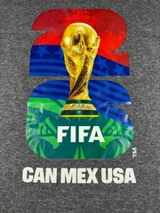 FIFA Official Licensed World Cup T Shirt S/S New with Tag Dark Gray