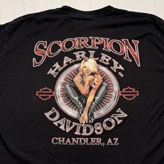 Harley-Davidson Shirt Mens Large Black Skull Scorpion Chandler AZ Pinup Cropped