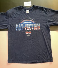 Vtg 2007 New England Patriots Undefeated 16-0 Regular Season Pat Perfection Lg