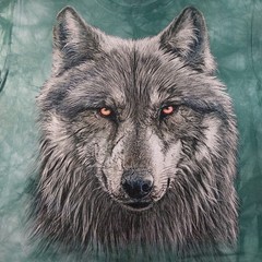 The Mountain Wolf T-Shirt Mens Large Green Tie Dye Animal Nature Tee