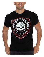Harley-Davidson Men’s Ragged Willie G Skull Crew-Neck Short Sleeve T-Shirt