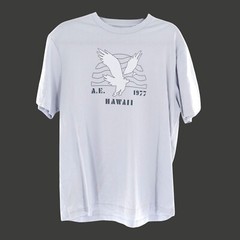 American Eagle Graphic T-shirt Mens M Gray Casual Weekend Retro 1977 Hawaii NWOT