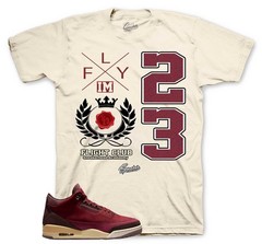 T-Shirt To Match Jordan 3 BIN 23 Sneakers – Flight Crest Sneaker Tees