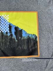 American Eagle Shirt Men’s Large Standard Fit Long Sleeve Gray Mountain Graphic