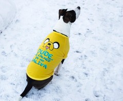 Adventure Time “Jake Saliva” Pet T-Shirt
