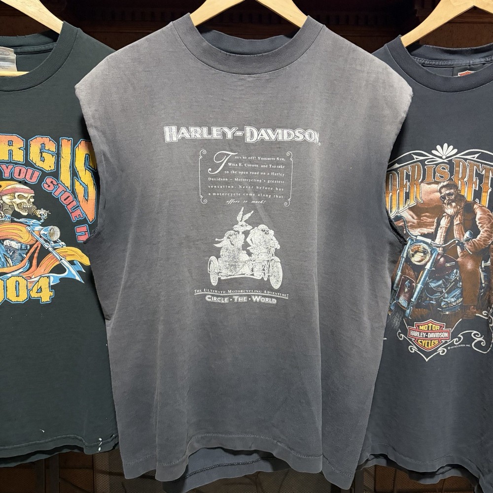 Vintage 90s Harley Davidson Sun Faded Single Stitch T Shirt Looney Tunes Taz L