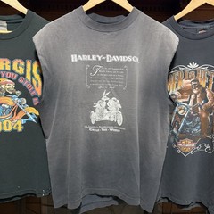 Vintage 90s Harley Davidson Sun Faded Single Stitch T Shirt Looney Tunes Taz L