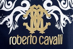 Roberto Cavalli Men’s Blue Graphic Crewneck T-Shirt US 2XL IT 56