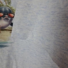 Vintage Virginia Beach T-Shirt Mens XL Gray Cal Cru SS Dolphin Single Stitch USA