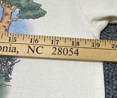 VTG Pooh’s Outdoor Adventure Embroidered Applique Single Stitch USA RARE GRAIL