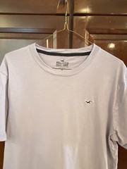 Hollister Must Have Collect Shirt Mens Medium Purple Adult V Neck Tee