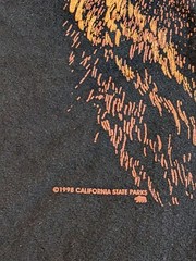 Vintage California State Parks 90s Grizzly Bear T Shirt Size XL Black CA Nature