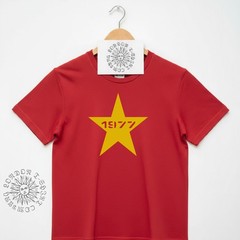 1977 Punk Star T-Shirt – Punk Rock, Sub Culture, Various Colours