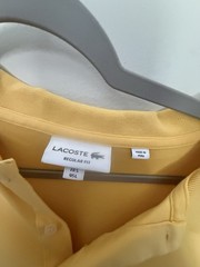 lacoste t shirt men large 15 $ Each