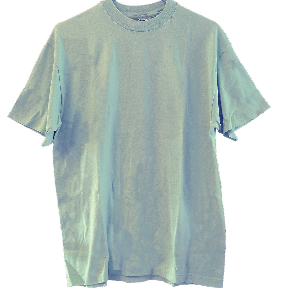 Men’s Hane’s Size Large CrewNeck T-Shirt Short Sleeve Stonewashed Green