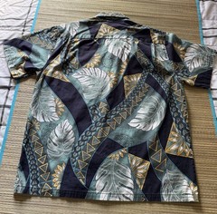 Men’s HILO HATTIE Casual Aloha Shirt