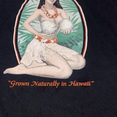 Maui Kauai Hula Girl Nice Coconuts Hawaii T-Shirt Mens XL Island Beach Tee