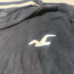 Hollister Long Sleeve Graphic Tee with Sleeve Logo, Navy Blue, Size Large