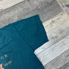 Vintage Australia T-Shirt Ayers Rock Northern Territory Graphic Teal Mens Large