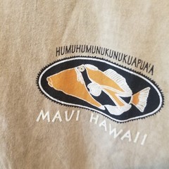 Stedman By Hanes Mens Casual Short Sleeve Shirt Large Maui Hawaii Print Cotton