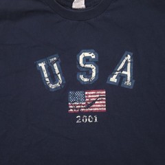 Vintage Arizona Jean Co Shirt Mens XL Blue USA Flag 2001 Patriotic Graphic Tee