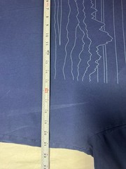 Patagonia Organic Cotton Skyline Graphic T-Shirt