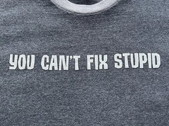 Vintage 90s 2000s You Can’t Fix Stupid T-Shirt Gray Size Large
