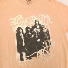 Aerosmith Band Casual Crew Neck Graphic T-Shirt Adult Mens Size Large L Tan