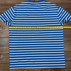 Polo Ralph Lauren Mens Large T-Shirt Blue White Striped Classic Fit NWT
