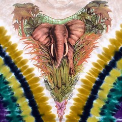 Endangered Tie-Dye T-Shirt Liquid Blue