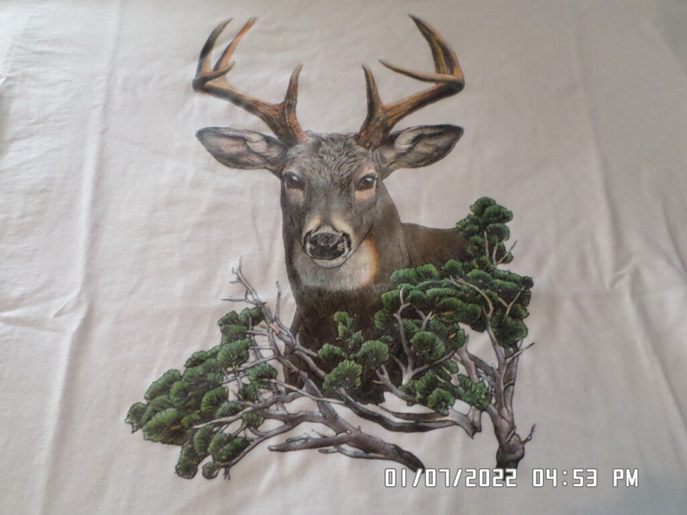 NEW Deer Hunting T-Shirt: Large Buck with Big Eyes (LOTS of Colors & Sizes)