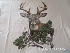 NEW Deer Hunting T-Shirt: Large Buck with Big Eyes (LOTS of Colors & Sizes)