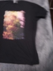 DC Comics Harley Quinn Poison T Shirt X L Next Level Apperral Excellent