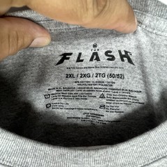 DC Comics Men’s The Flash Super Icons Graphic T-Shirt Gray 2XL