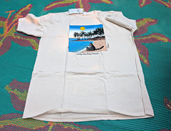 Cat on Beach Size 2XL Crazy Shirts B. Kliban Cat Short Sleeve Crew Neck