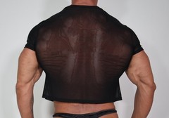 ADULT SHORT SLEEVE CROPPED SHEER SHIRT SIZE M/L